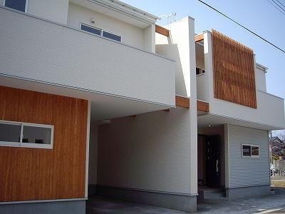 ������ư���֥ѥ쥹�����ȿƾ��ĥ����