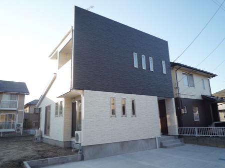 ������ư���֥ѥ쥹������Ļ����1��