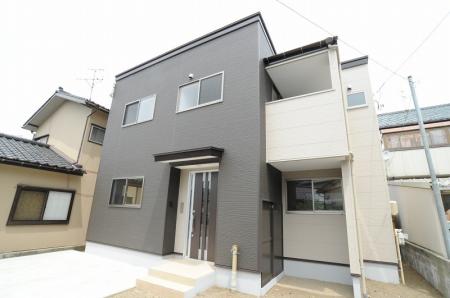 ������ư���������Į��