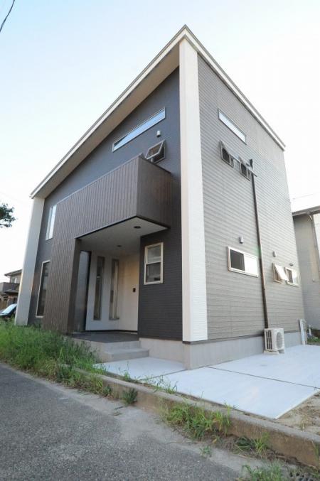 ������ư�������̲����