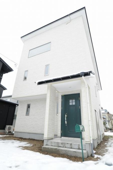 ������ư���ֲ�����Į��