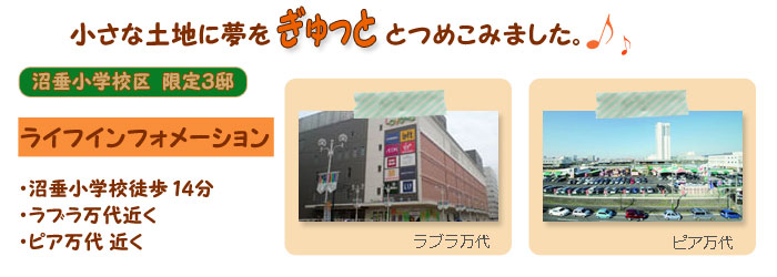 �^�E���t�����I�T�c�P