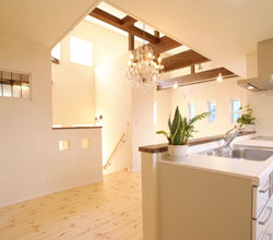 �p���X�R�[�g�ʐ^