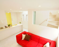 ���R���ʐ^