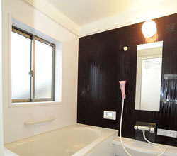 �e�B�[�_�ʐ^