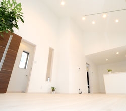 �e�B�[�_�ʐ^