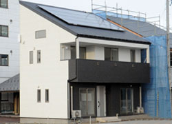 �e�B�[�_���ώʐ^