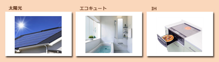 ���z���G�R�L���[�g�ʐ^