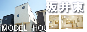 �G�R10��䓌