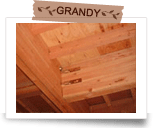 �\���⋭�H��6